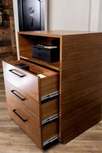 THE NEW BLUMSAFE CONCEALMENT CABINET 