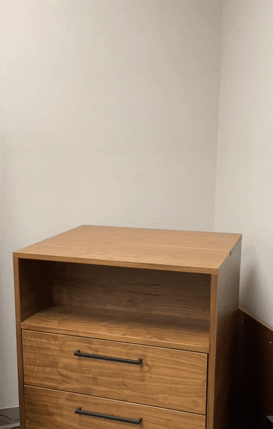 BlumSafe Concealment Cabinet
